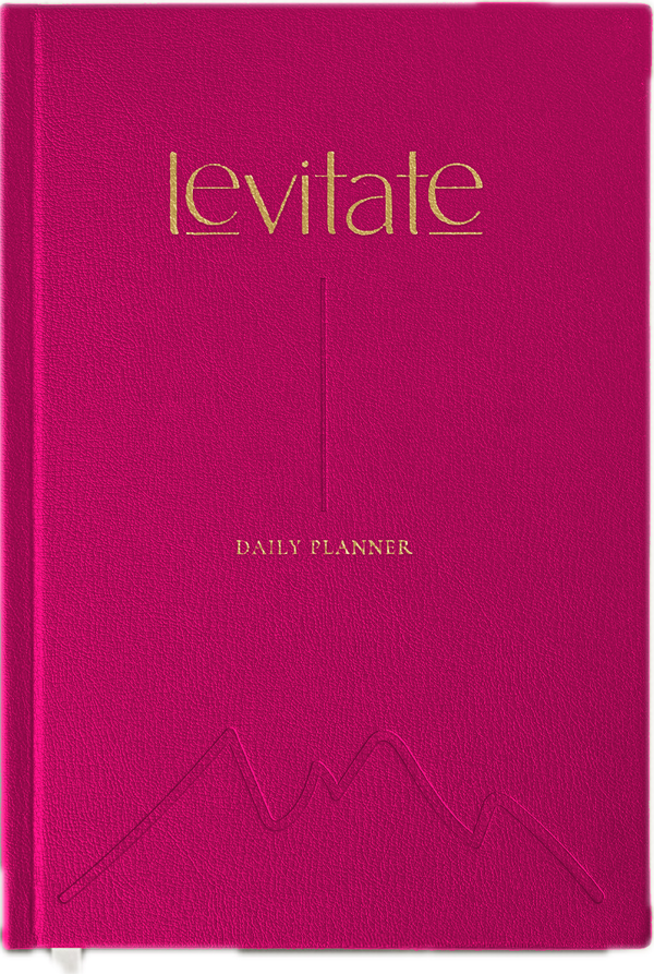 Levitate Daily Planner in Red Pink with gold foil
