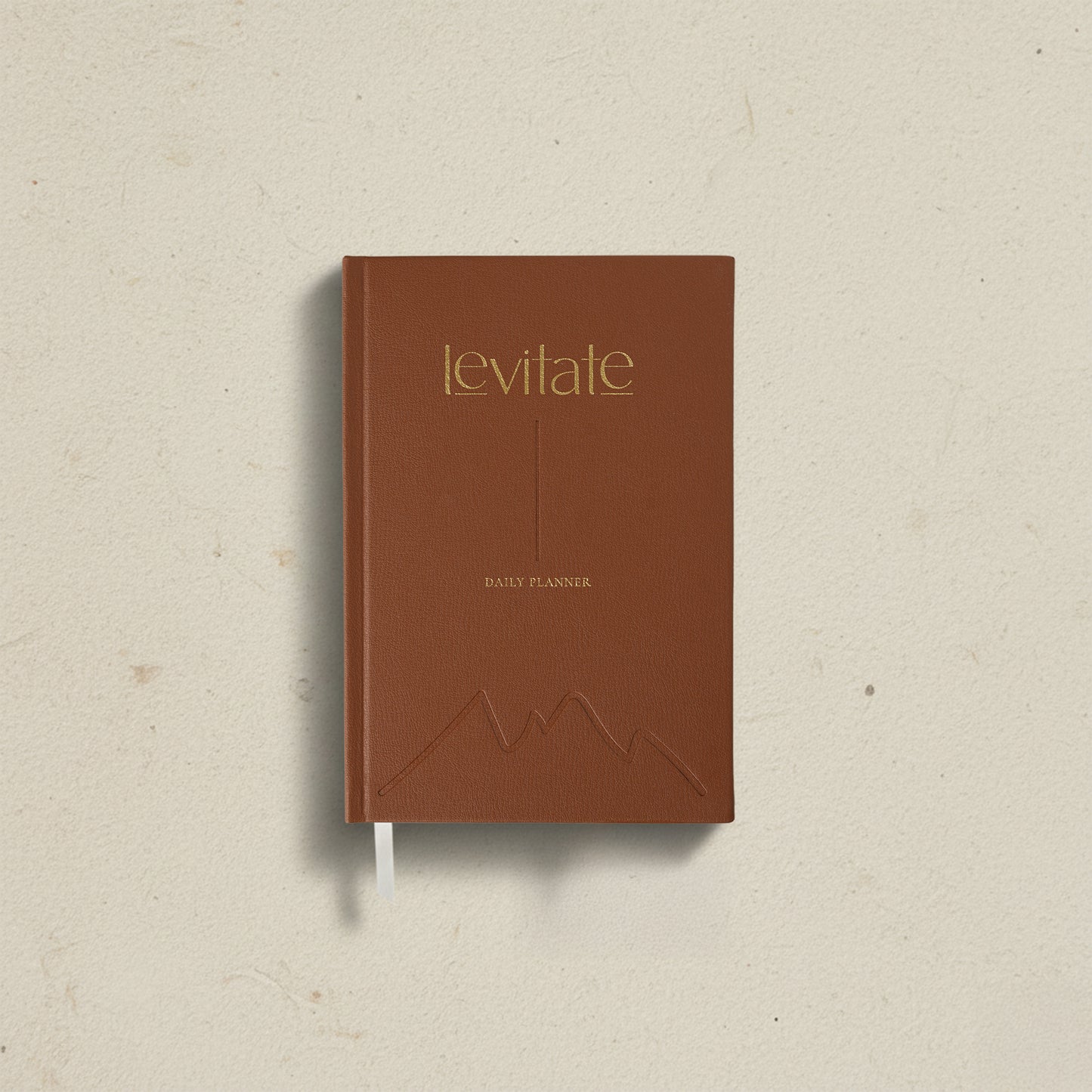 Levitate Daily Planner (Undated)