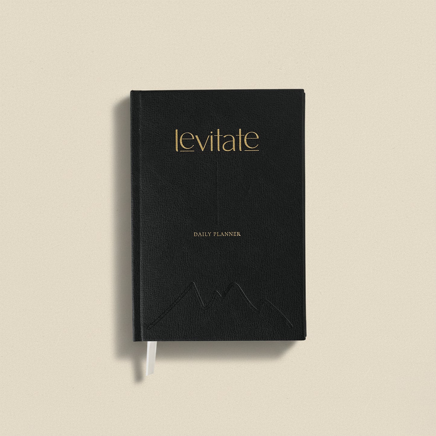Levitate Daily Planner (Undated)